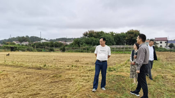 何斌调研秸秆综合利用和焚烧管控工作