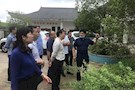 曾荣华督办区政协十三届六次会议第26号重点提案